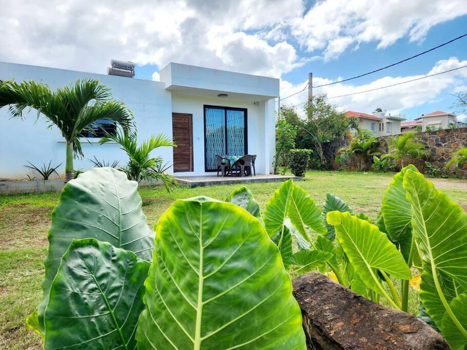 La Maison D'Isa Albion Bagian luar foto